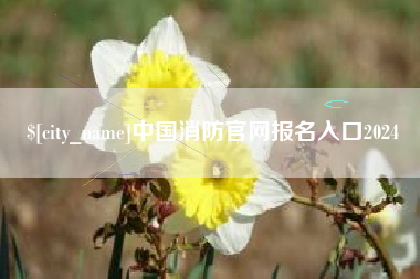 枣阳中国消防官网报名入口2024