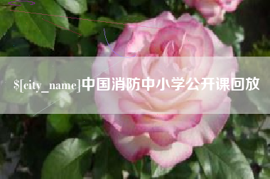 枣阳中国消防中小学公开课回放