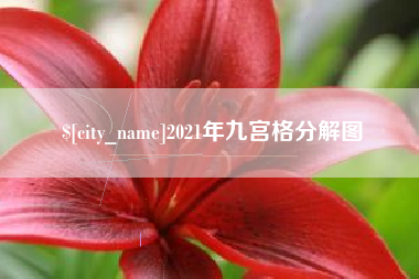 枣阳2021年九宫格分解图