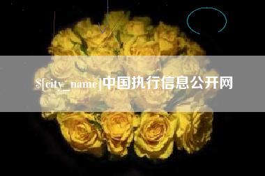 枣阳中国执行信息公开网