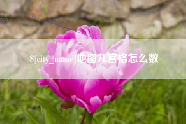 枣阳地图九宫格怎么数