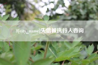 枣阳失信被执行人杳询