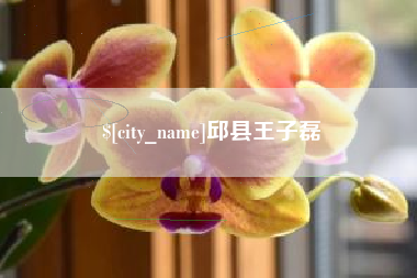 枣阳邱县王子磊