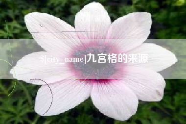 枣阳九宫格的来源