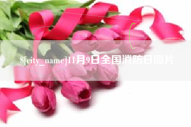 枣阳11月9日全国消防日图片