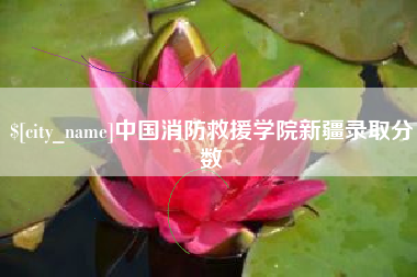 枣阳中国消防救援学院新疆录取分数