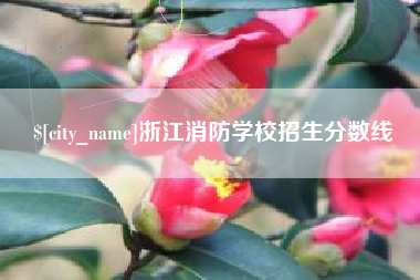枣阳浙江消防学校招生分数线