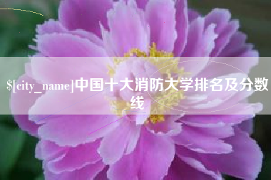 枣阳中国十大消防大学排名及分数线