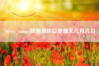 枣阳我国消防日是哪天几月几日