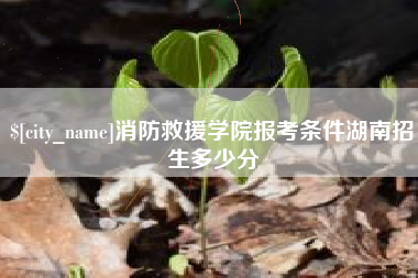 枣阳消防救援学院报考条件湖南招生多少分