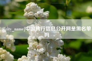 枣阳中国执行信息公开网是黑名单吗