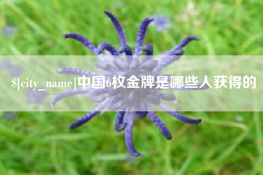 枣阳中国6枚金牌是哪些人获得的