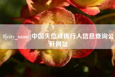 枣阳中国失信被执行人信息查询公开网址
