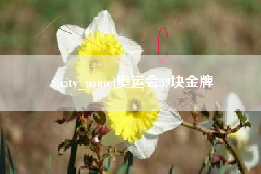 枣阳奥运会39块金牌