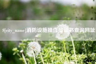 枣阳消防设施操作员证书查询网址