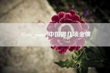 枣阳中国哪几项金牌