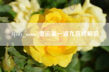 枣阳奥运第一波九宫格解说
