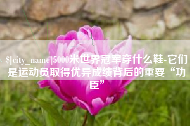 枣阳5000米世界冠军穿什么鞋-它们是运动员取得优异成绩背后的重要“功臣”