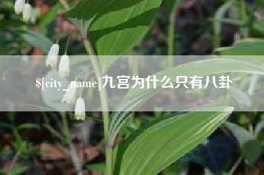 枣阳九宫为什么只有八卦