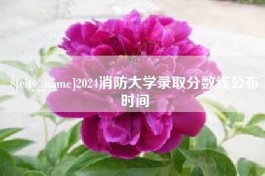 枣阳2024消防大学录取分数线公布时间