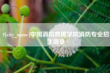 枣阳中国消防救援学院消防专业招生简章