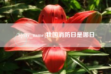 枣阳我国消防日是哪日