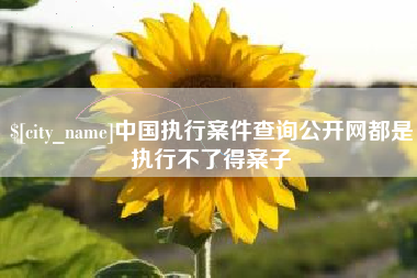 枣阳中国执行案件查询公开网都是执行不了得案子