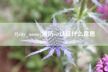 枣阳消防ccc认证什么意思