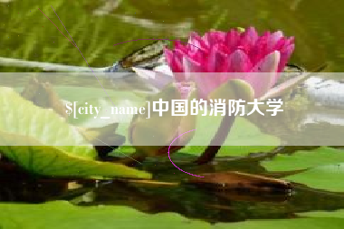 枣阳中国的消防大学