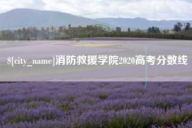 枣阳消防救援学院2020高考分数线