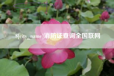 枣阳消防证查询全国联网