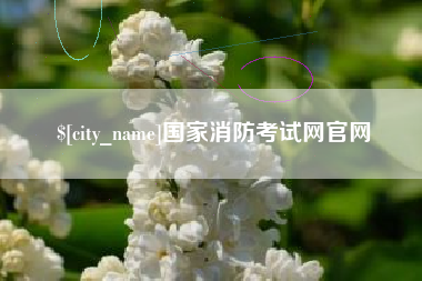 枣阳国家消防考试网官网
