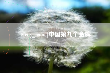 枣阳中国第九个金牌