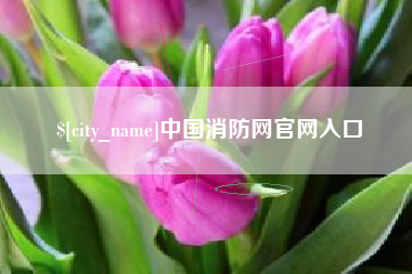 枣阳中国消防网官网入口