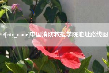 枣阳中国消防救援学院地址路线图