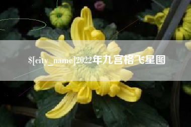 枣阳2022年九宫格飞星图