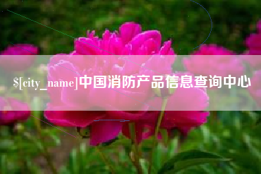 枣阳中国消防产品信息查询中心