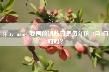 枣阳我国的消防日是每年的11月9日对吗？