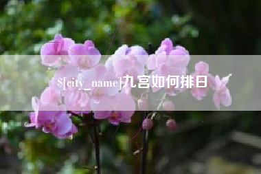 枣阳九宫如何排日
