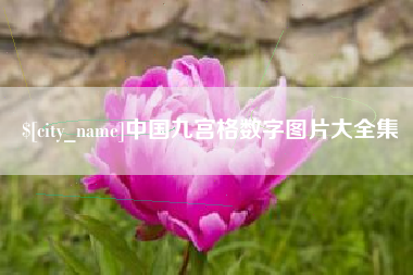 枣阳中国九宫格数字图片大全集