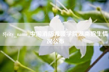 枣阳中国消防救援学院湖南招生情况公布