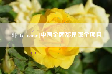 枣阳中国金牌都是哪个项目