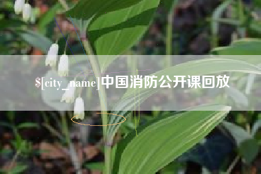 枣阳中国消防公开课回放
