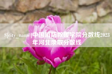 枣阳中国消防救援学院分数线2023年河北录取分数线