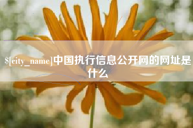 枣阳中国执行信息公开网的网址是什么
