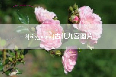 枣阳古代九宫图片