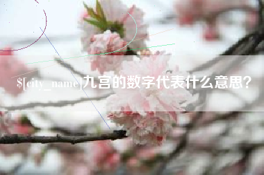 枣阳九宫的数字代表什么意思？