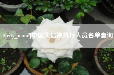 枣阳中国失信被执行人员名单查询
