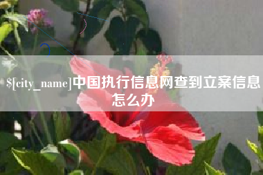 枣阳中国执行信息网查到立案信息怎么办