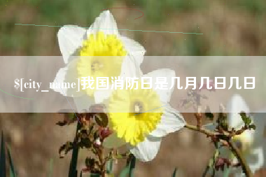 枣阳我国消防日是几月几日几日